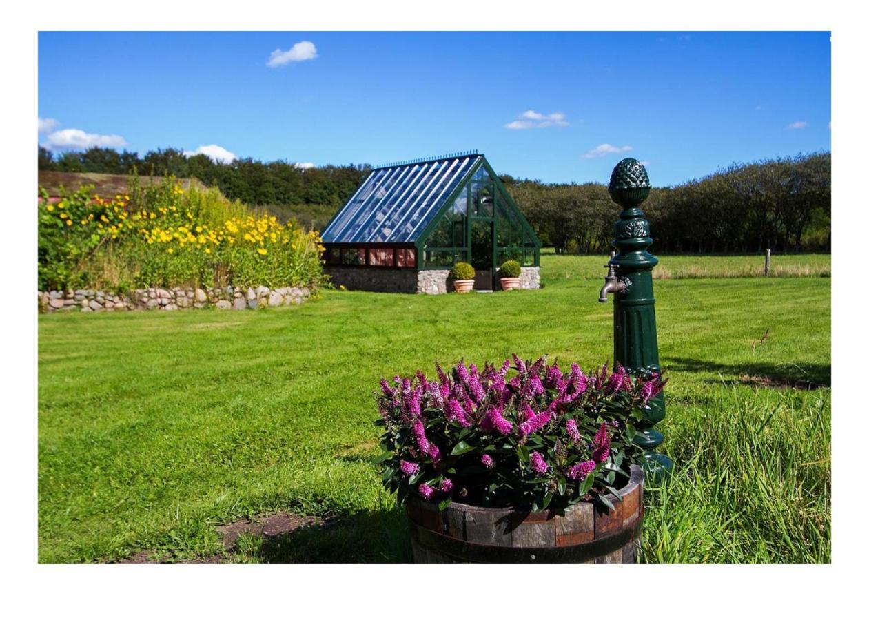 Holmsminde Bed & Breakfast Viborg Ngoại thất bức ảnh